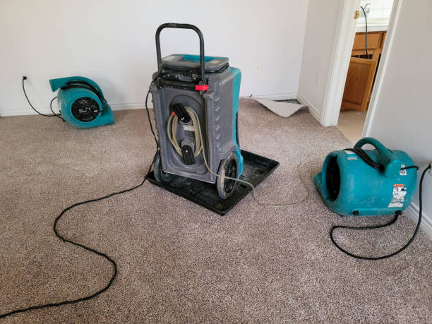 Best Flood restoration services  in Avoca, IA