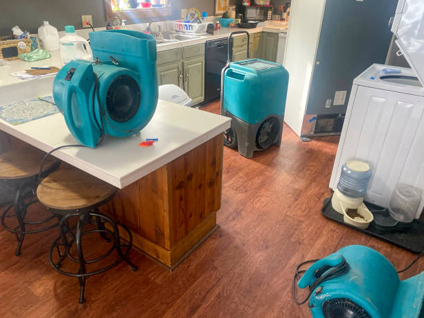Best Emergency water damage restoration  in Avoca, IA