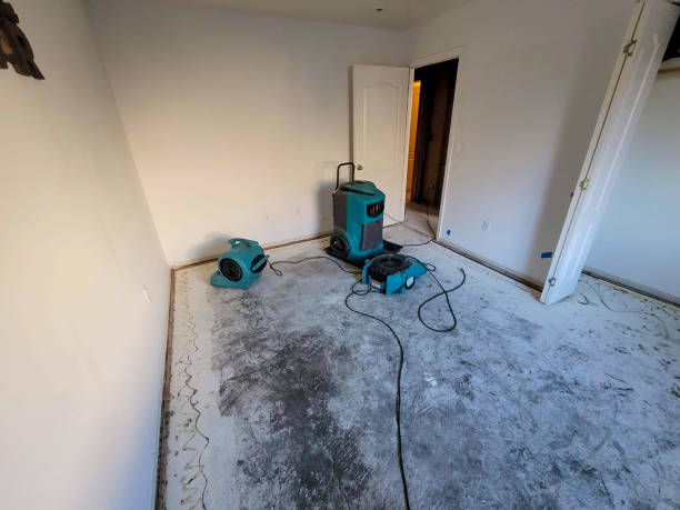 Best Local water damage restoration  in Avoca, IA