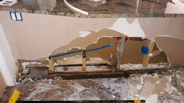 Best Water damage restoration near me  in Avoca, IA