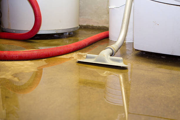 Best Commercial water damage restoration  in Avoca, IA
