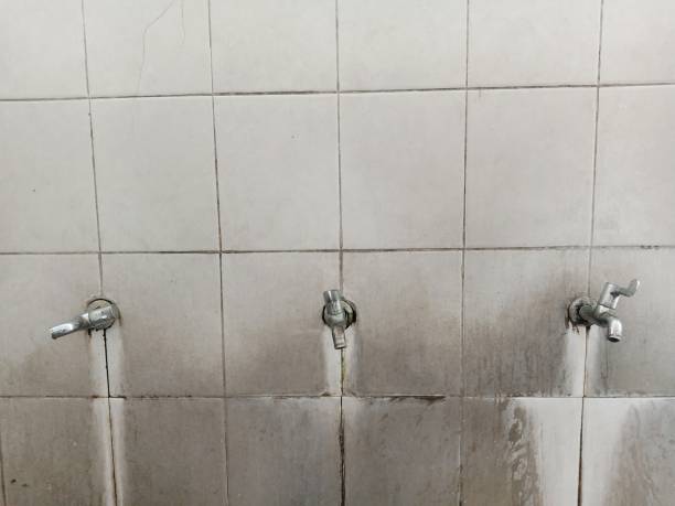 Best Fire Damage Restoration  in Avoca, IA