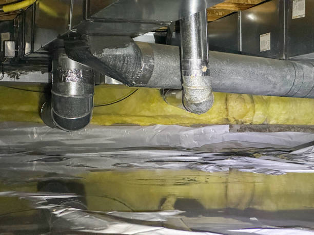 Best Flood damage cleanup  in Avoca, IA