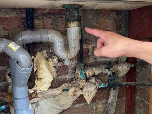 Best Ceiling water damage repair  in Avoca, IA