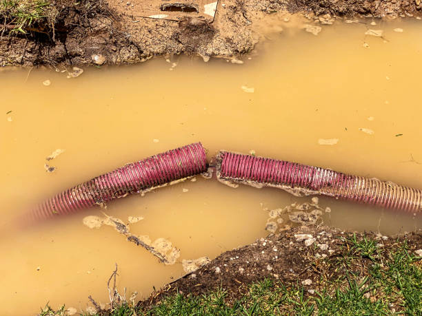 Best 24-hour water damage restoration  in Avoca, IA