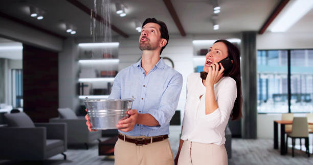 Best 24/7 water damage repair  in Avoca, IA
