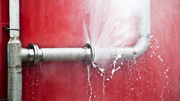 Best Carpet water damage restoration  in Avoca, IA